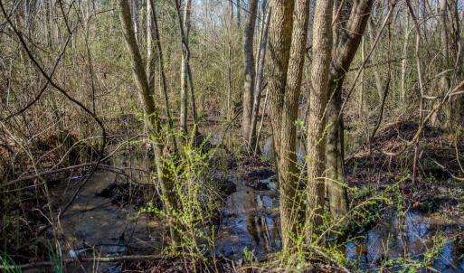 Photo #26 of SOLD property in 4068 Midway Road, Maxton, NC 115.3 acres