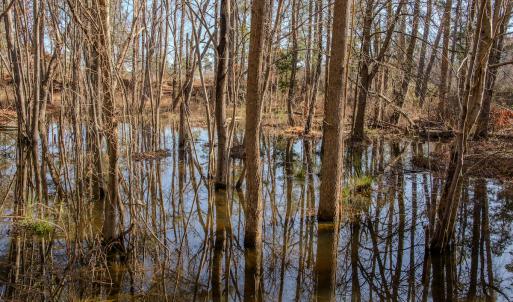 Photo #27 of SOLD property in 4068 Midway Road, Maxton, NC 115.3 acres