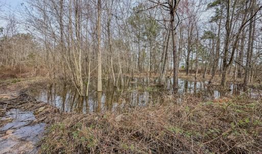 Photo #28 of 4068 Midway Road, Maxton, NC 115.3 acres
