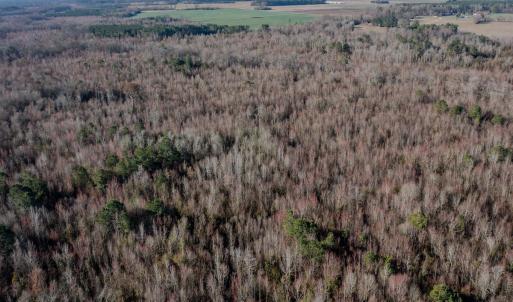 Photo #4 of SOLD property in 4068 Midway Road, Maxton, NC 115.3 acres