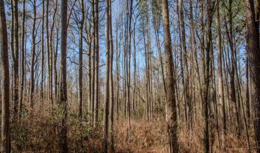 Photo #32 of SOLD property in 4068 Midway Road, Maxton, NC 115.3 acres