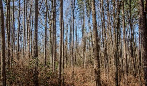 Photo #32 of 4068 Midway Road, Maxton, NC 115.3 acres