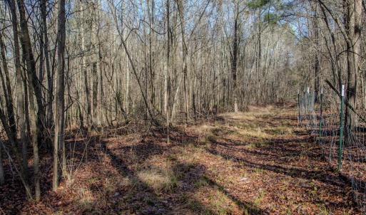 Photo #33 of 4068 Midway Road, Maxton, NC 115.3 acres