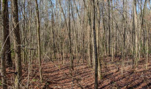 Photo #34 of 4068 Midway Road, Maxton, NC 115.3 acres