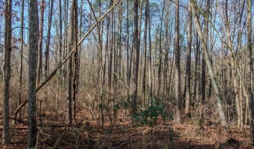 Photo #35 of SOLD property in 4068 Midway Road, Maxton, NC 115.3 acres