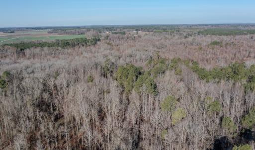 Photo #7 of SOLD property in 4068 Midway Road, Maxton, NC 115.3 acres