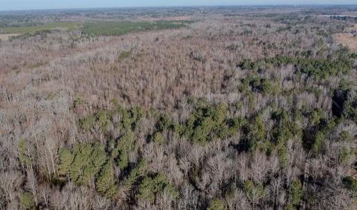 Photo #8 of SOLD property in 4068 Midway Road, Maxton, NC 115.3 acres