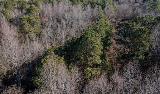 Photo #9 of SOLD property in 4068 Midway Road, Maxton, NC 115.3 acres