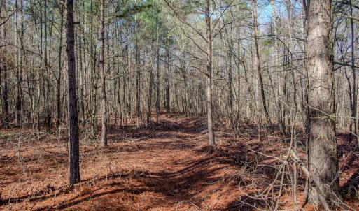 Photo #38 of SOLD property in 4068 Midway Road, Maxton, NC 115.3 acres