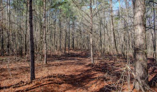 Photo #38 of 4068 Midway Road, Maxton, NC 115.3 acres
