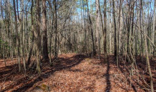 Photo #39 of 4068 Midway Road, Maxton, NC 115.3 acres
