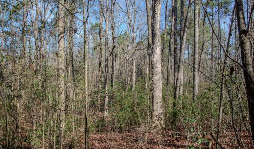 Photo #40 of SOLD property in 4068 Midway Road, Maxton, NC 115.3 acres