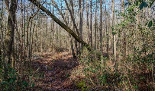 Photo #41 of SOLD property in 4068 Midway Road, Maxton, NC 115.3 acres