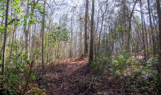 Photo #47 of 4068 Midway Road, Maxton, NC 115.3 acres