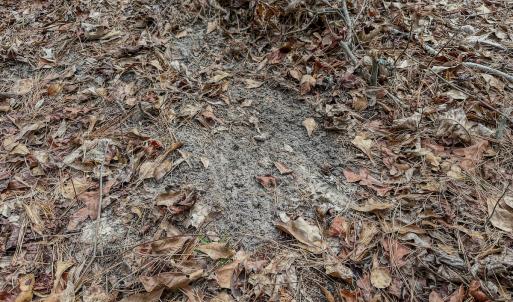 Photo #49 of SOLD property in 4068 Midway Road, Maxton, NC 115.3 acres