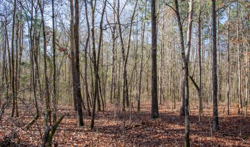Photo #51 of 4068 Midway Road, Maxton, NC 115.3 acres