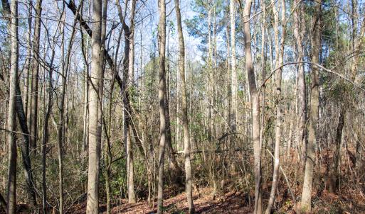 Photo #52 of 4068 Midway Road, Maxton, NC 115.3 acres