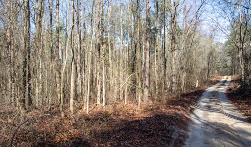 Photo #54 of 4068 Midway Road, Maxton, NC 115.3 acres
