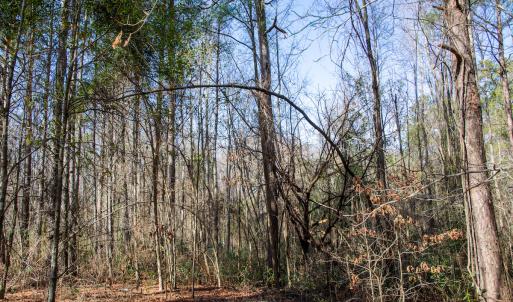 Photo #56 of SOLD property in 4068 Midway Road, Maxton, NC 115.3 acres