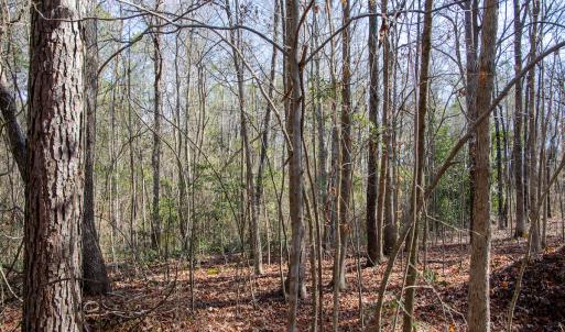 Photo #58 of SOLD property in 4068 Midway Road, Maxton, NC 115.3 acres