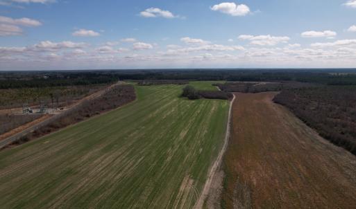 Photo #11 of SOLD property in 1543 McGoogan Farm Road, Shannon, NC 194.9 acres