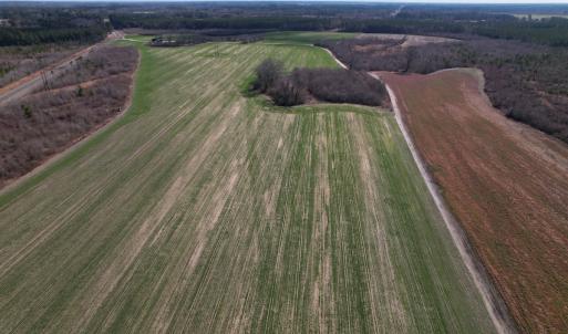 Photo #13 of SOLD property in 1543 McGoogan Farm Road, Shannon, NC 194.9 acres
