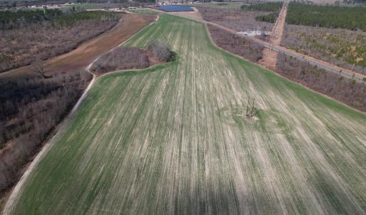 Photo #15 of SOLD property in 1543 McGoogan Farm Road, Shannon, NC 194.9 acres