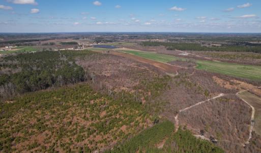 Photo #3 of SOLD property in 1543 McGoogan Farm Road, Shannon, NC 194.9 acres