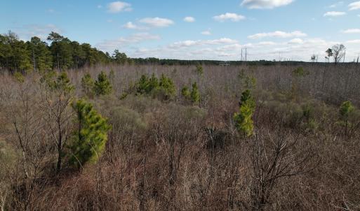 Photo #23 of SOLD property in 1543 McGoogan Farm Road, Shannon, NC 194.9 acres