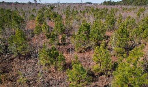 Photo #26 of SOLD property in 1543 McGoogan Farm Road, Shannon, NC 194.9 acres