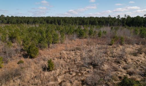 Photo #27 of SOLD property in 1543 McGoogan Farm Road, Shannon, NC 194.9 acres