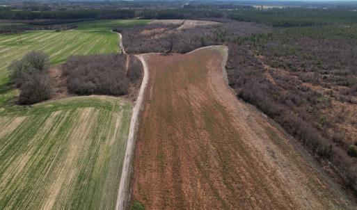 Photo #28 of SOLD property in 1543 McGoogan Farm Road, Shannon, NC 194.9 acres