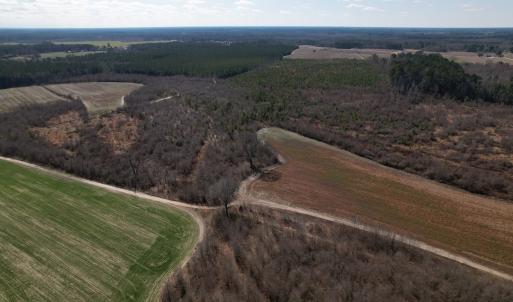 Photo #30 of SOLD property in 1543 McGoogan Farm Road, Shannon, NC 194.9 acres