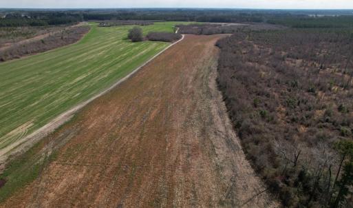Photo #31 of SOLD property in 1543 McGoogan Farm Road, Shannon, NC 194.9 acres