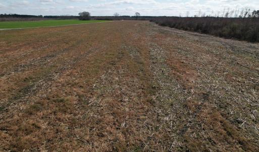 Photo #32 of SOLD property in 1543 McGoogan Farm Road, Shannon, NC 194.9 acres