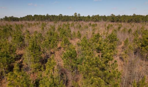 Photo #33 of SOLD property in 1543 McGoogan Farm Road, Shannon, NC 194.9 acres