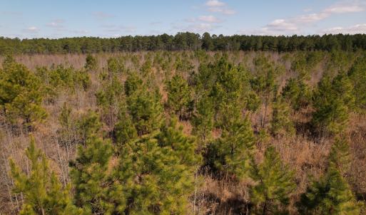 Photo #34 of SOLD property in 1543 McGoogan Farm Road, Shannon, NC 194.9 acres