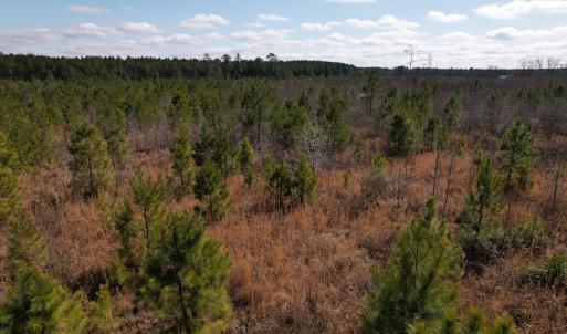 Photo #35 of SOLD property in 1543 McGoogan Farm Road, Shannon, NC 194.9 acres