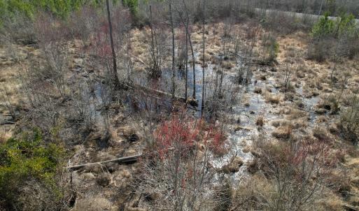 Photo #37 of SOLD property in 1543 McGoogan Farm Road, Shannon, NC 194.9 acres