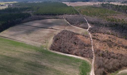 Photo #38 of SOLD property in 1543 McGoogan Farm Road, Shannon, NC 194.9 acres