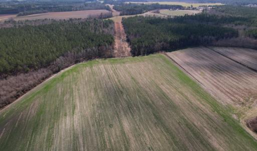 Photo #40 of SOLD property in 1543 McGoogan Farm Road, Shannon, NC 194.9 acres