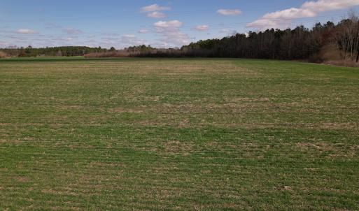Photo #41 of SOLD property in 1543 McGoogan Farm Road, Shannon, NC 194.9 acres