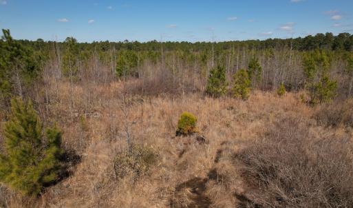 Photo #46 of SOLD property in 1543 McGoogan Farm Road, Shannon, NC 194.9 acres