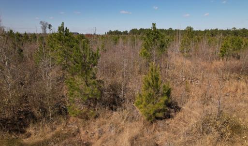 Photo #47 of SOLD property in 1543 McGoogan Farm Road, Shannon, NC 194.9 acres