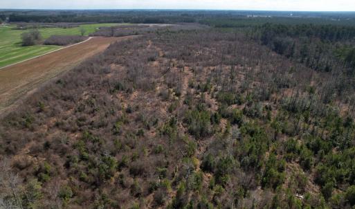 Photo #49 of SOLD property in 1543 McGoogan Farm Road, Shannon, NC 194.9 acres