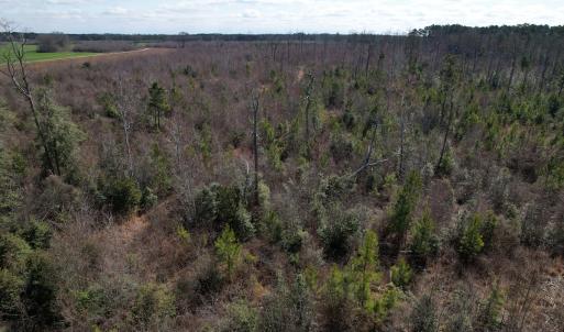 Photo #50 of SOLD property in 1543 McGoogan Farm Road, Shannon, NC 194.9 acres