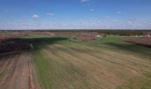 Photo #53 of SOLD property in 1543 McGoogan Farm Road, Shannon, NC 194.9 acres