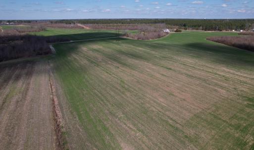 Photo #54 of SOLD property in 1543 McGoogan Farm Road, Shannon, NC 194.9 acres