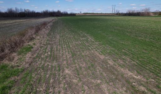 Photo #55 of SOLD property in 1543 McGoogan Farm Road, Shannon, NC 194.9 acres