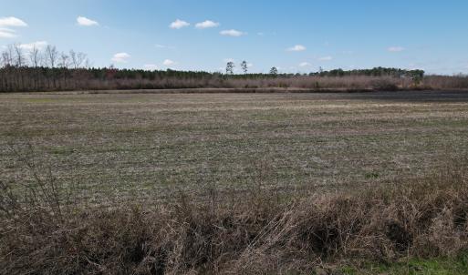 Photo #56 of SOLD property in 1543 McGoogan Farm Road, Shannon, NC 194.9 acres